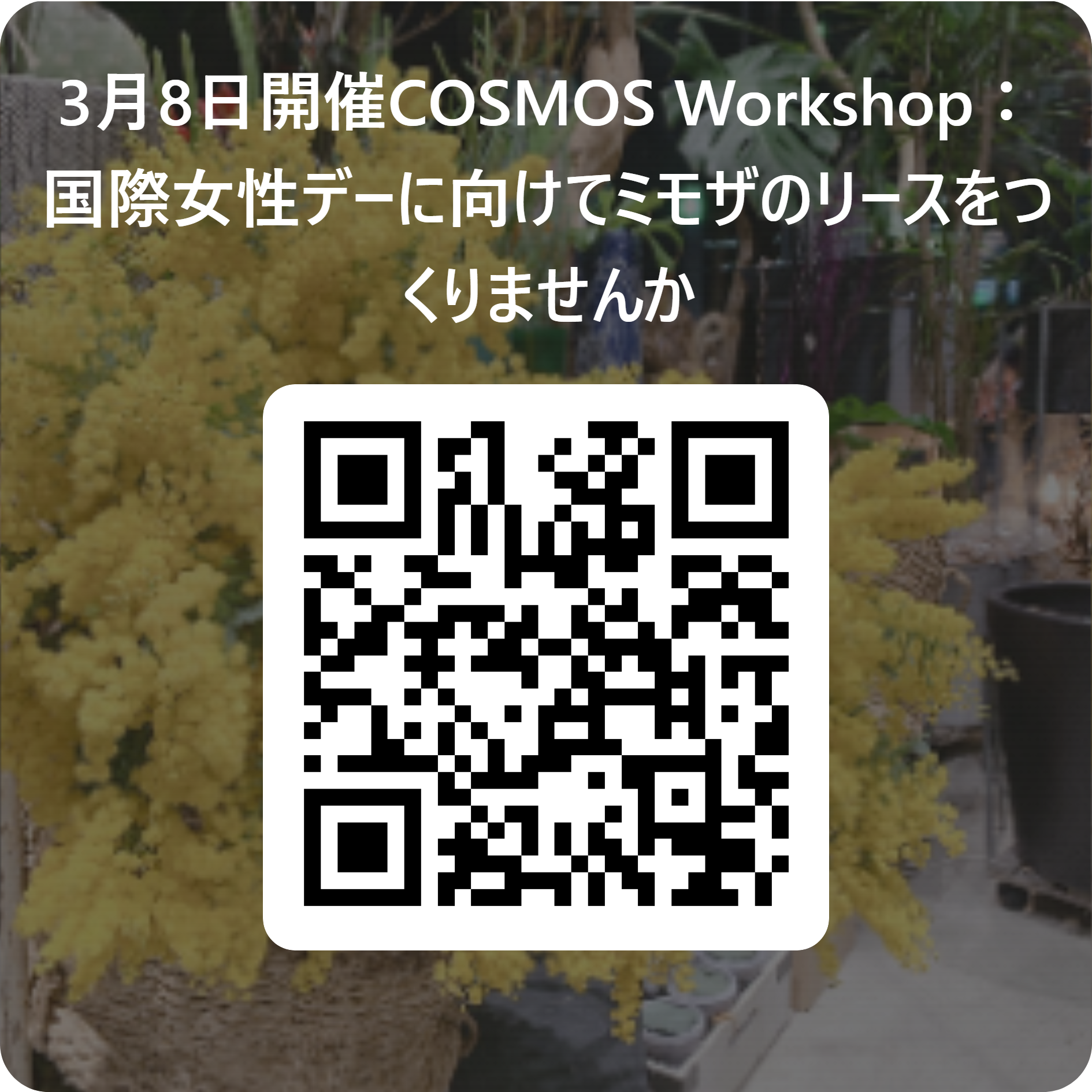 報告】COSMOS Workshop：国際女性デーにミモザのリースをつくりません 